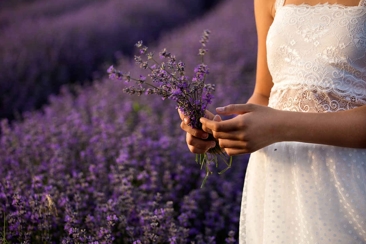 lavender flowers bouquet plants 3576132